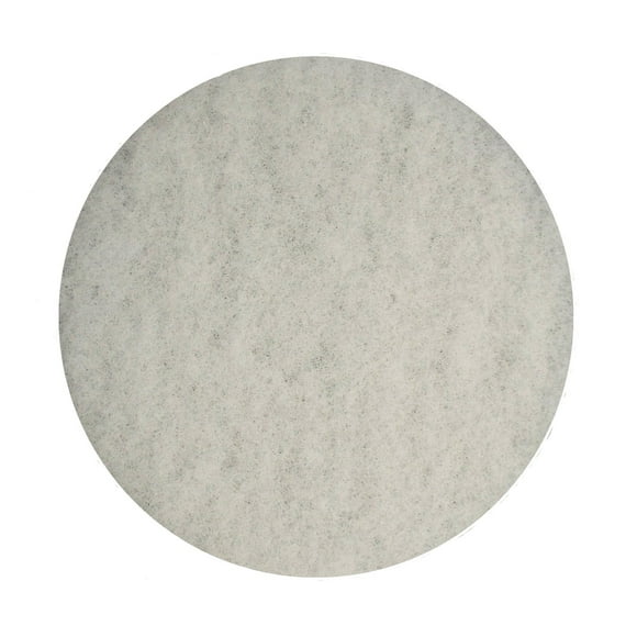 Almohadilla pulidora Bissell BigGreen Commercial 437.051BG-C para BGEM9000