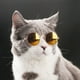 thumbnail image 1 of Cat Sunglasses Dog Glasses Classic Retro Circular Sunglasses Cool Pet Costume Accessory, 1 of 4