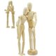 thumbnail image 4 of Maniquí UpTuoLi de Madera Articulado 12 cm‑30 cm, 4 of 9