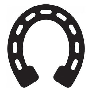 Rienda Libre Graphics - Decomural Horseshoe Lucky Charm Pack Ws-44275