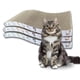 thumbnail image 4 of Rascador Gatos Cartón Corrugado + Sobre Catnip Hierba Gatera, 4 of 7