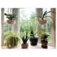 thumbnail image 4 of Globos de riego para plantas Irrmshr, paquete de 10, PVC transparente, 4 of 7