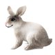thumbnail image 4 of Figura De Conejo Realista Zoológico Modelo De Animales De Granja Juguetes De Ense?anza Decoración De Mesa Gris Blanco En Cuclillas, 4 of 5