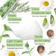 thumbnail image 3 of Limpiador facial de árbol a tina para piel sensible, grasoso o combinado con aloe, 3 of 6