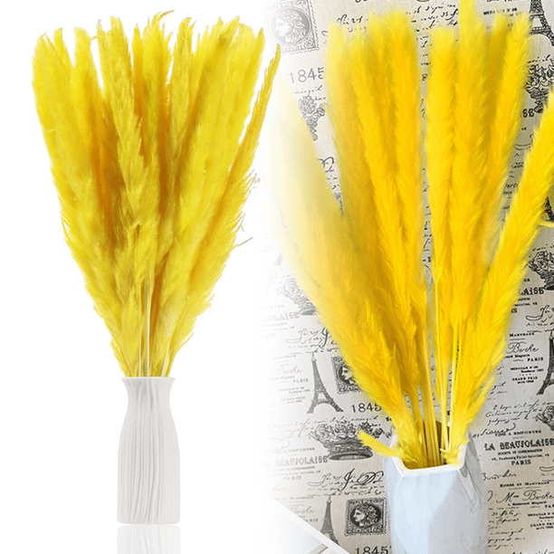 30 piezas de flores secas naturales de hierba de la pampa seca, planta de junco con caja, flores reales, ramos de flores románticas para bodas, sabrosas y duraderas para decoración del hogar DIY, a ju