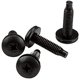 thumbnail image 1 of Tornillos para rack StarTech.com 19 mm, paquete de 50, negro, TAA, 1 of 2