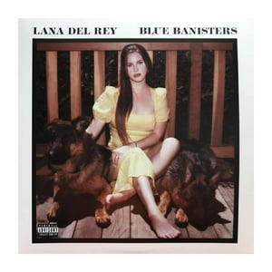 Grupo Laser Disc - Vinilo Lana Del Rey/ Blue Banisters 2Lp
