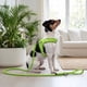 thumbnail image 4 of Correa De Paseo Petlounge Easy Glam Mascotas Perros 1.5m verde, 4 of 9