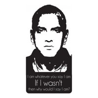 Rienda Libre Graphics - Decomural The Way I Am Eminem Song Lyrics Ws-40947