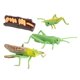 thumbnail image 1 of Figuras De Crecimiento De Saltamontes De Naturaleza Plástica, Juguetes Cognitivos De Aprendizaje Para Ni?os, 1 of 5