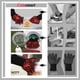 thumbnail image 2 of Guantes para barbacoa Comsmart de silicona resistentes al calor, 800 °C, antideslizantes, 2 of 7