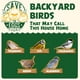 thumbnail image 5 of Kit DIY de casa para pájaros WildYard Angry Birds de cedro 14 × 20 × 25 cm, 5 of 6
