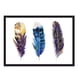 thumbnail image 1 of Cuadro Plumas Colores con Marco Negro, 1 of 1