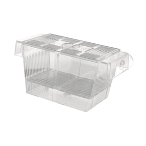 Ioensy - Caja De Reproducción De Peces Con Tazas De Succión Caja De Eclosión Acrílica Para Pez Payaso Betta L