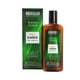 thumbnail image 1 of Shampoo Capilatis Anticaída Ortiga Jarilla Cafeína, 260 ml, 1 of 1