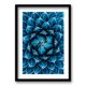 thumbnail image 1 of Cuadro Agave Cactus 50x35cms, 1 of 1