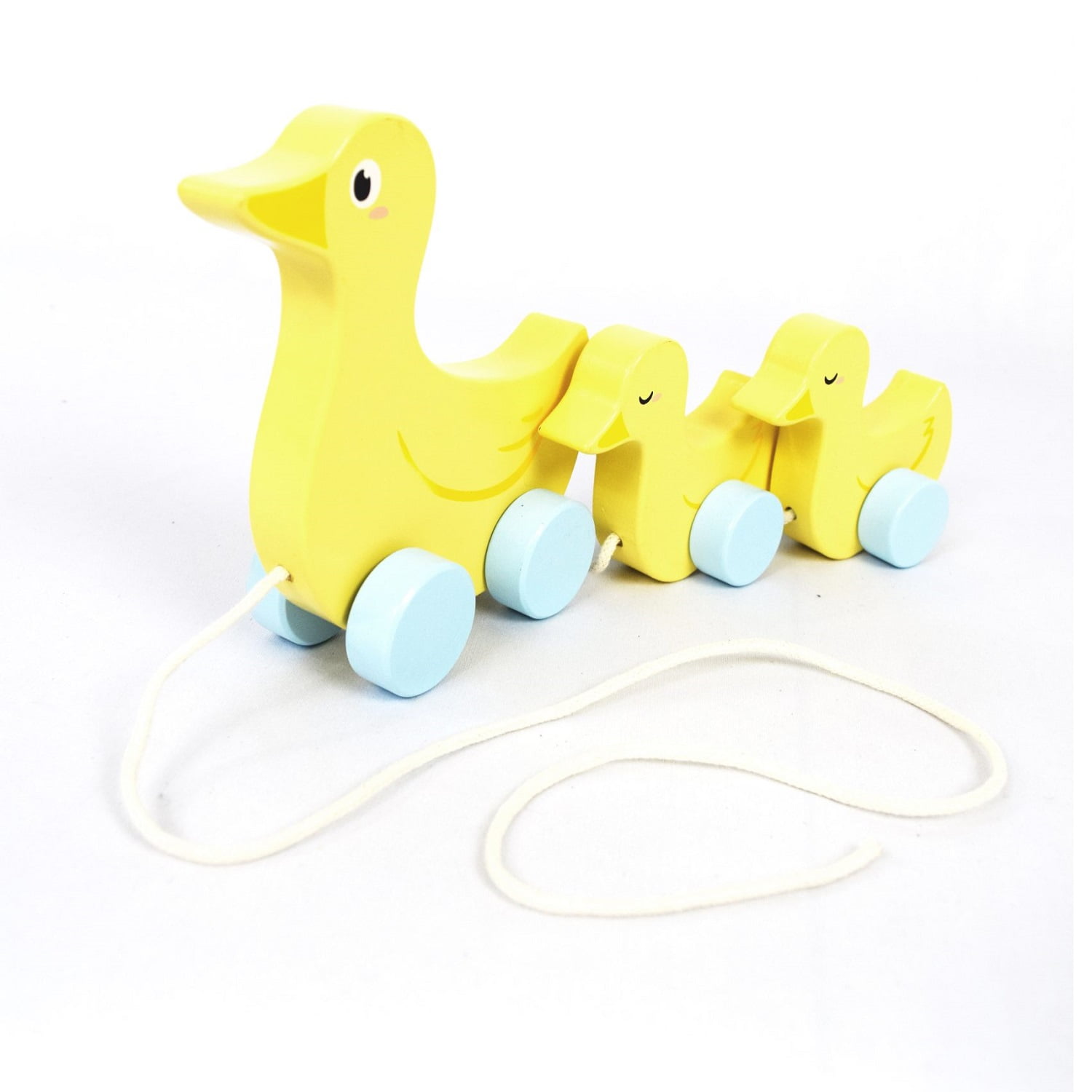 Seigard - Familia De Patos De Arrastre