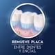 thumbnail image 2 of Cepillo Interdentales 20 Unidades + Estuche 1 Unidad Expert Pick Interdental 1 Kit, 2 of 6
