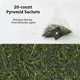thumbnail image 4 of Té SUGIMOTO TEA Sencha Fukamushi Bolsitas de Té Verde 20 unidades, 4 of 8