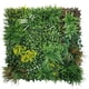 thumbnail image 2 of Jardin Vertical Primavera, 2 of 2