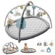 thumbnail image 1 of Gimnasio de Juego para Bebé TinyThrive 91x73 cm 5 Juguetes Gris, 1 of 8