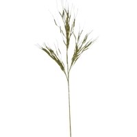 Corel - Rama Sauce Electrico Dorado Claro 72Cm