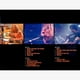 thumbnail image 3 of 2 LP UNIVERSAL MUSIC GROUP Live and Loud, 3 of 3
