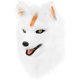 thumbnail image 1 of Máscara Lobo Furry Peluche Disfraz Cosplay Adulto Unisex, 1 of 3