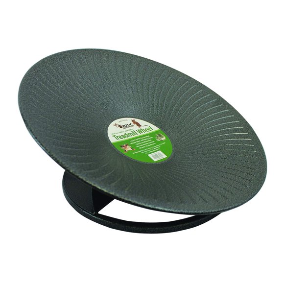 Rueda de Ejercicio Exotic Nutrition 28 cm Negra de Metal