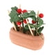 thumbnail image 4 of Mini Planta Verde Macetas Macetas Casa De Mu?ecas Accesorios Mu?ecas Muebles De Casa 5x2x6cm, 4 of 5