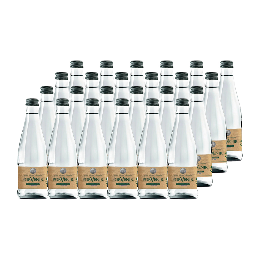 24X Agua Mineral Porvenir Con Gas Botella Vidrio 330Cc