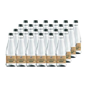 24X Agua Mineral Porvenir Con Gas Botella Vidrio 330Cc