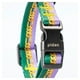 thumbnail image 2 of Collar Ajustable Para Perro Pequeño-colores Variados - Pidan, 2 of 7