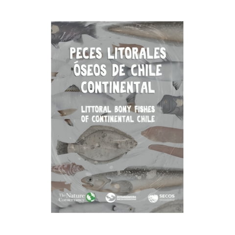 Ediciones Mac-Kay - Libro Peces Litorales Óseos De Chile Continental /Fundación
