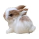 thumbnail image 4 of Mini conejo de peluche realista,Juguete de conejo peludo realista,Mini modelo,Conejo peludo realista en miniatura para accesorios de fotografía para, 4 of 5