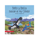 thumbnail image 1 of Libro Beto Y Bella Buscan Al Rey Cóndor - Tapa Dura, 1 of 2