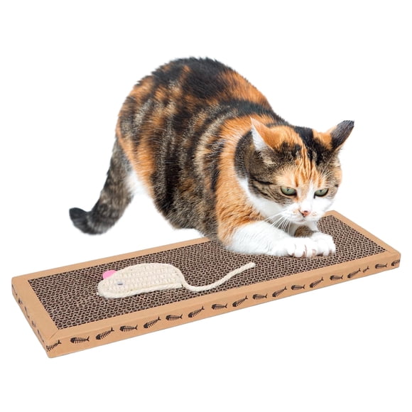 Accesorios Gato caja, 1 Un