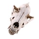 thumbnail image 5 of Réplica De Resina De Calavera Realista Falsa, Modelo De Esqueleto De Cabeza De Enseñanza, Acuario 6, 5 of 5