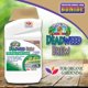 thumbnail image 5 of Herbicida Bonide Captain Jack's Deadweed Brew 946 mL, 5 of 8