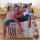 thumbnail image 3 of Spiderman Room Decor Bedding Set with Sheets And Pillow 3 Piece Bedding Super Soft Fade Resistant Microfiber for Boys Girls Kids Twin, 3 of 5