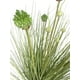 thumbnail image 2 of Pasto Hoja Chica Con Florecencia Blanca 25cm Artificial, 2 of 3