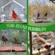 thumbnail image 4 of Comedero de pájaros para ventana Nature's Hangout con ventosas transparentes, 4 of 8