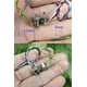 thumbnail image 3 of Motor paso a paso Abovehill, 8 mm, micro bifásico, 4 hilos, DC 5-6 V, 10 pares, 3 of 4