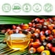 thumbnail image 2 of Aceite de batana VXHDAG, 60 ml, 100% puro y natural para el crecimiento del cabello, 2 of 3