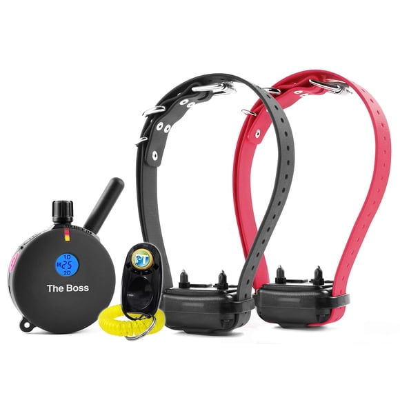 Collar Electrónico Educator ET-802 Entrenador Remoto 1,6 km para 2 Perros