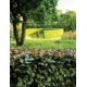 thumbnail image 1 of Libro Acc Art Books – Intersección de la Naturaleza y el Arte, 1 of 6