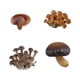 thumbnail image 3 of Juguete de simulación del ciclo de crecimiento de los hongos Etapas del desarrollo de los hongos Material didáctico Modelo cognitivo del ciclo de vida Hongos marrones, 3 of 5