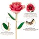 thumbnail image 3 of Rosa infinita rosa bañada en oro Anthonic decorativa, 3 of 7