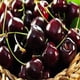 thumbnail image 2 of Aceite de fragancia Cereza Negra - Virginia Candle Supply 946 ml, 2 of 9