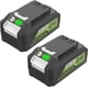 thumbnail image 1 of Paquete de 2 Reemplazo de 6.0Ah para Batería de 24V de Green+works Compatible con Herramientas de 24V de Green-works, 1 of 5